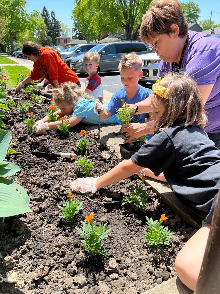 planting flowers